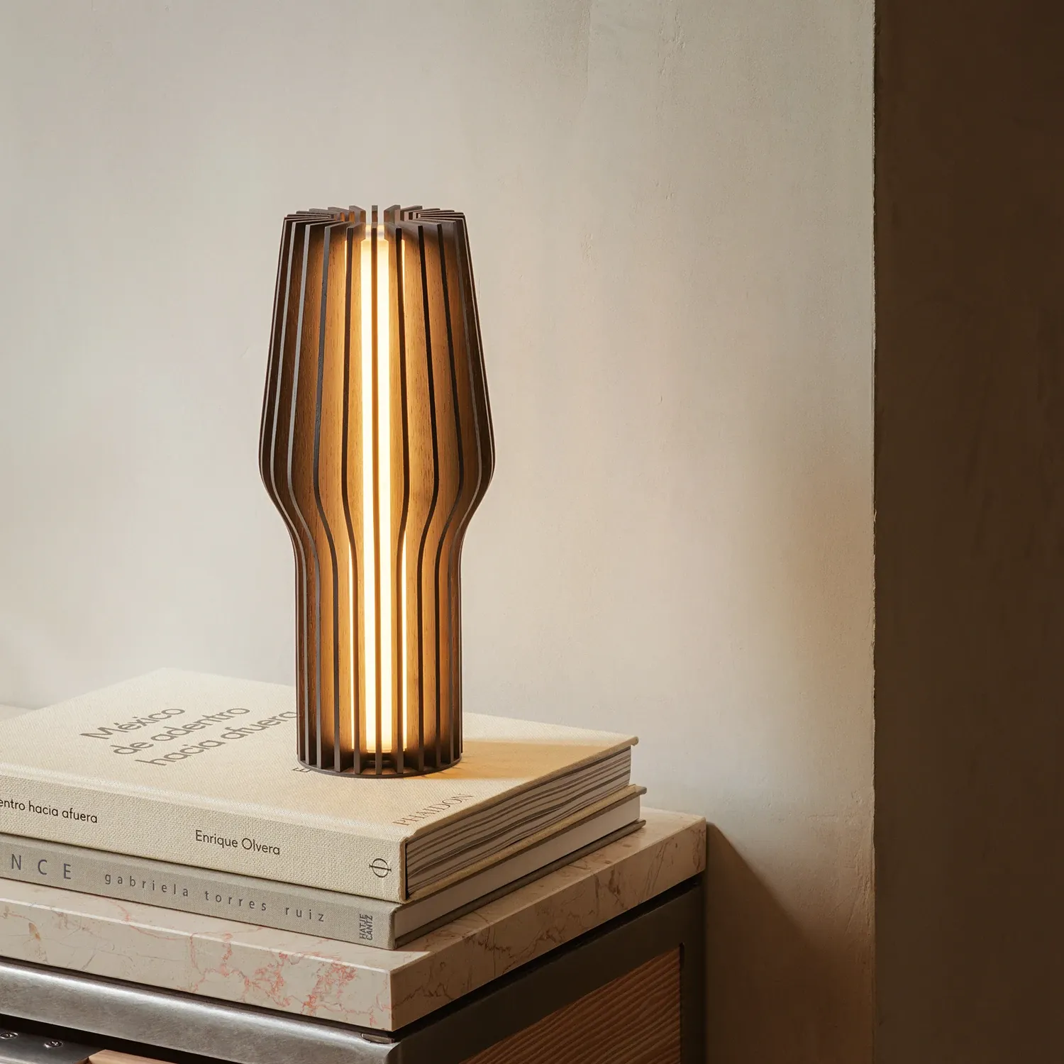eva solo | radiant portable table lamp | smoked oak