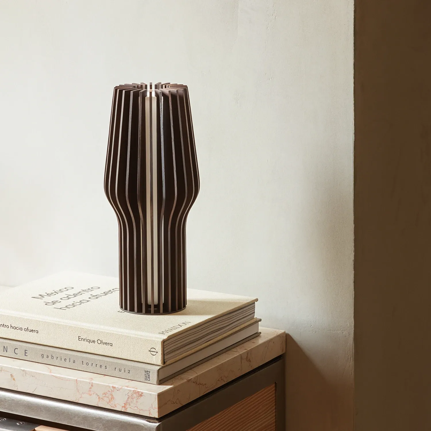 eva solo | radiant portable table lamp | smoked oak