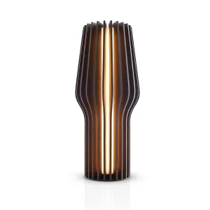 eva solo | radiant portable table lamp | smoked oak