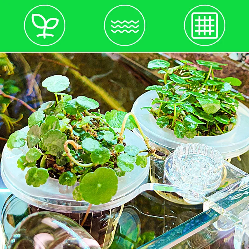 Multi-use Plant Hydroponic Transparent Clamp Basket