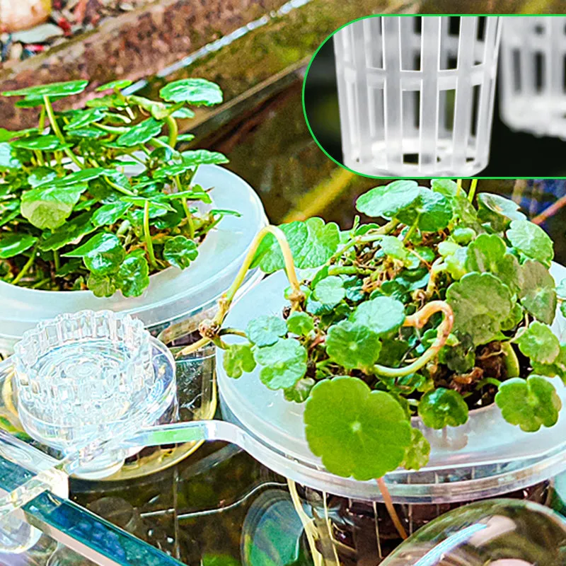 Multi-use Plant Hydroponic Transparent Clamp Basket